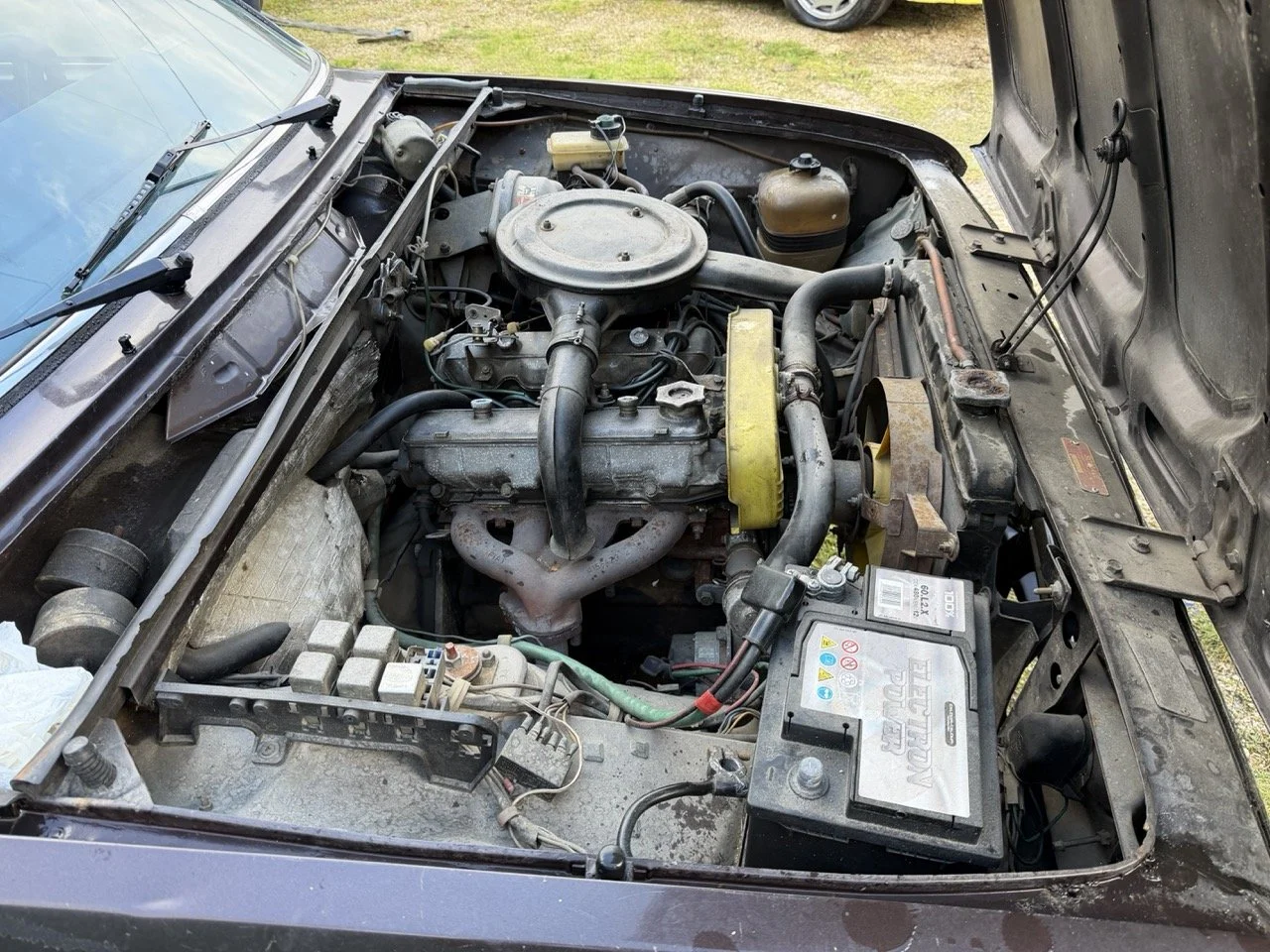 IMG_5282 – grande.jpeg