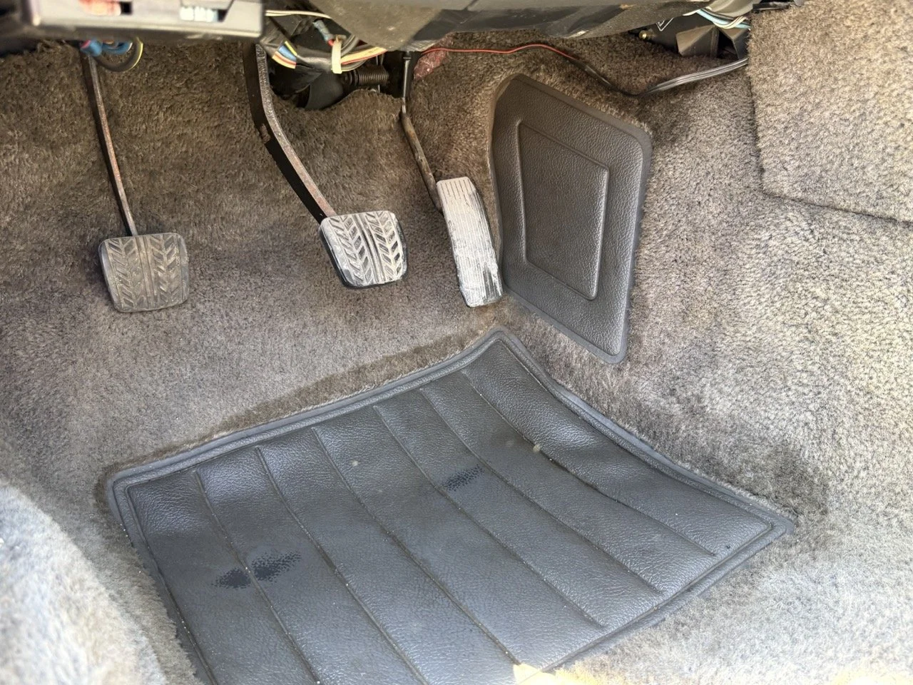 IMG_2076 – grande.jpeg