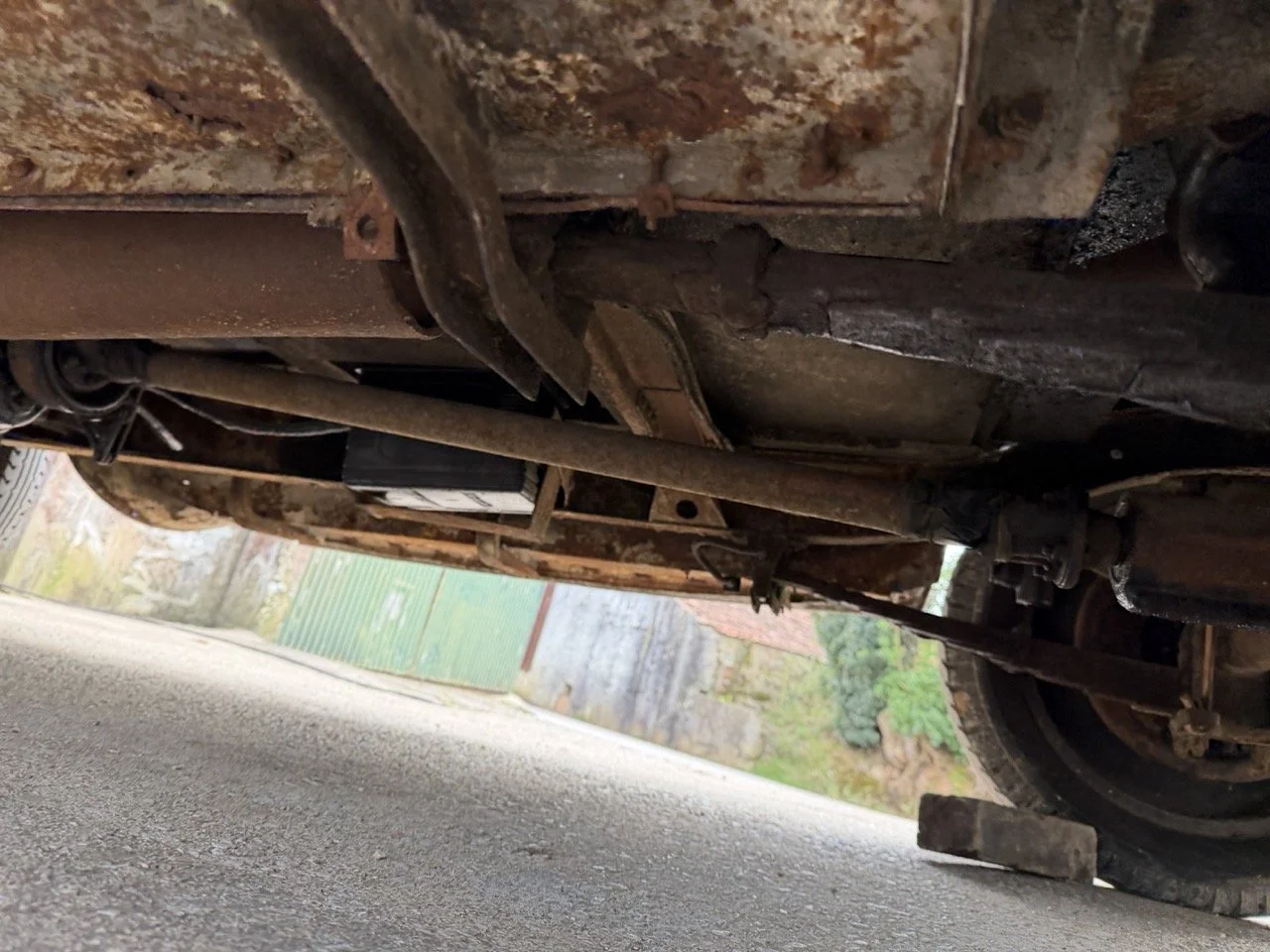 IMG_1666 – grande.jpeg