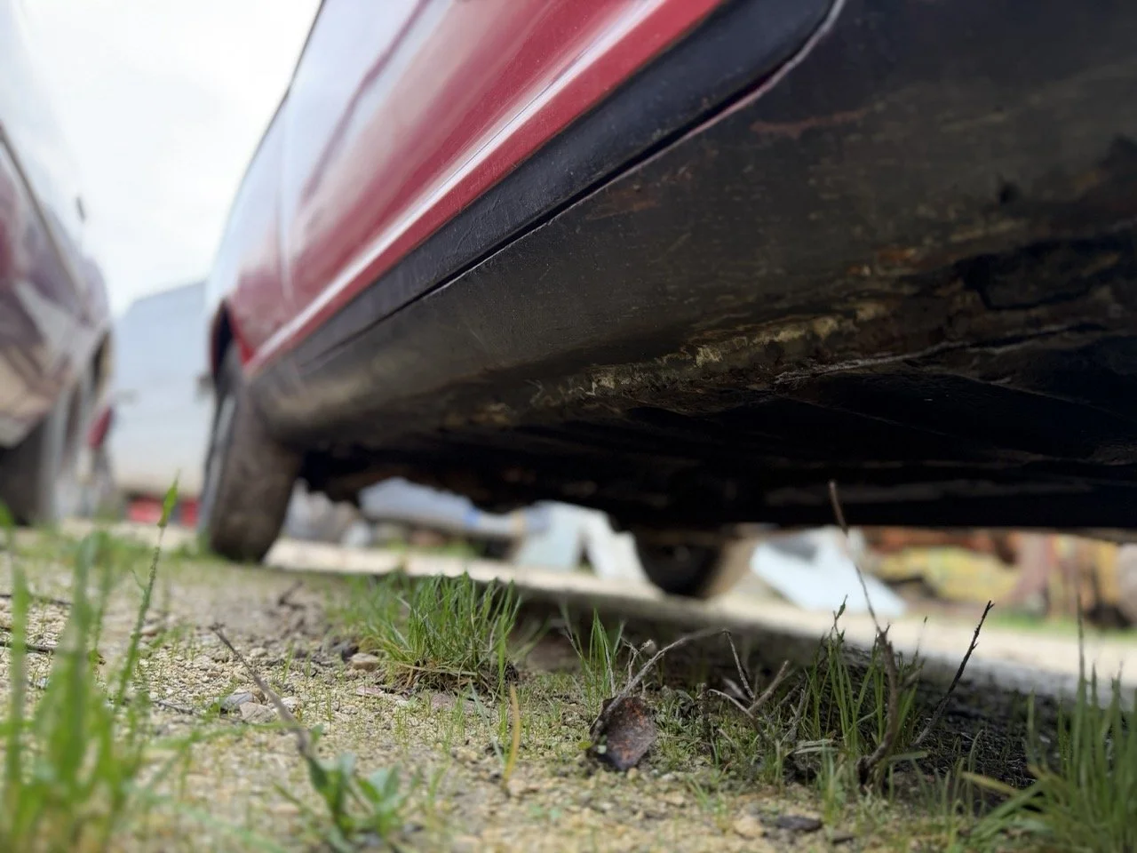 IMG_4974 – grande.jpeg