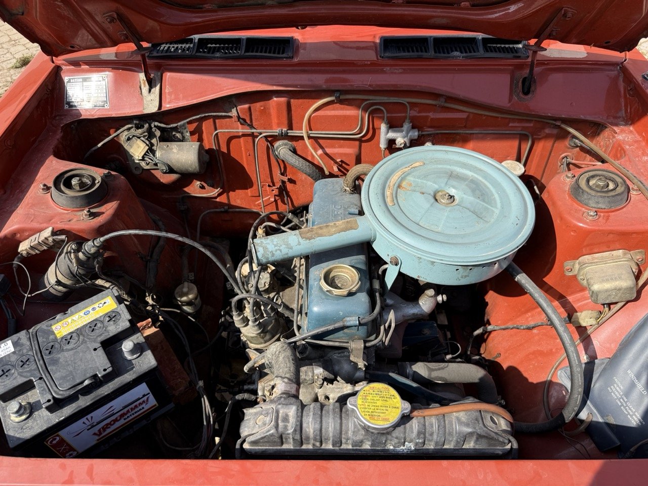 IMG_3612 – grande.jpeg