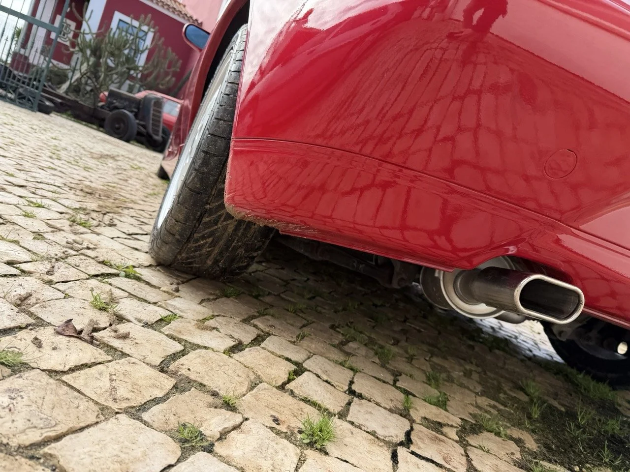 IMG_2306 – grande.jpeg