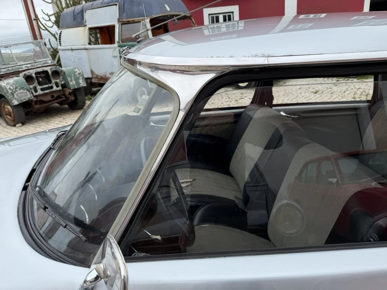 IMG_3774 – grande.jpeg