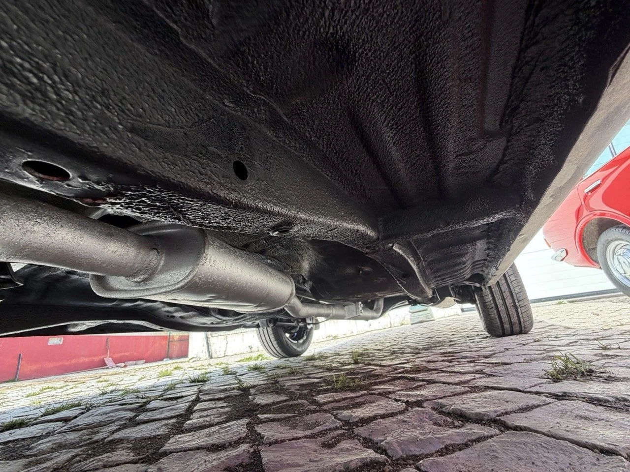 IMG_2469 – grande.jpeg