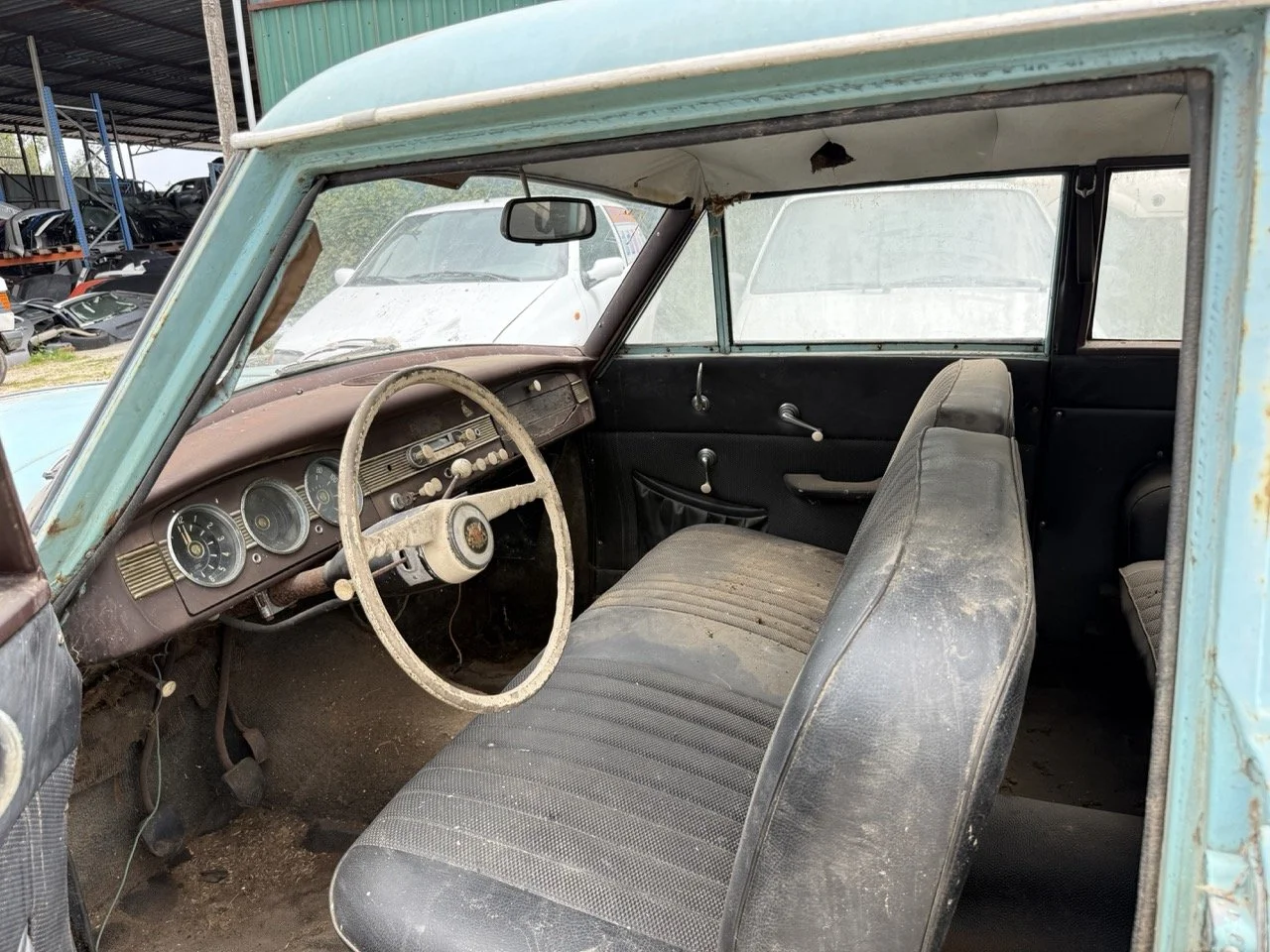 IMG_1362 – grande.jpeg