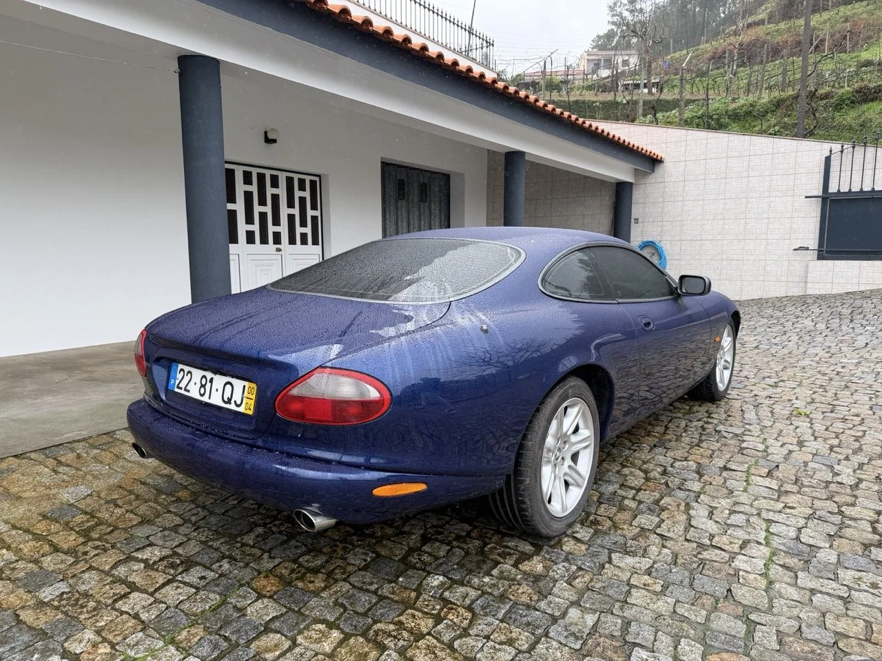 IMG_3633 – grande.jpeg