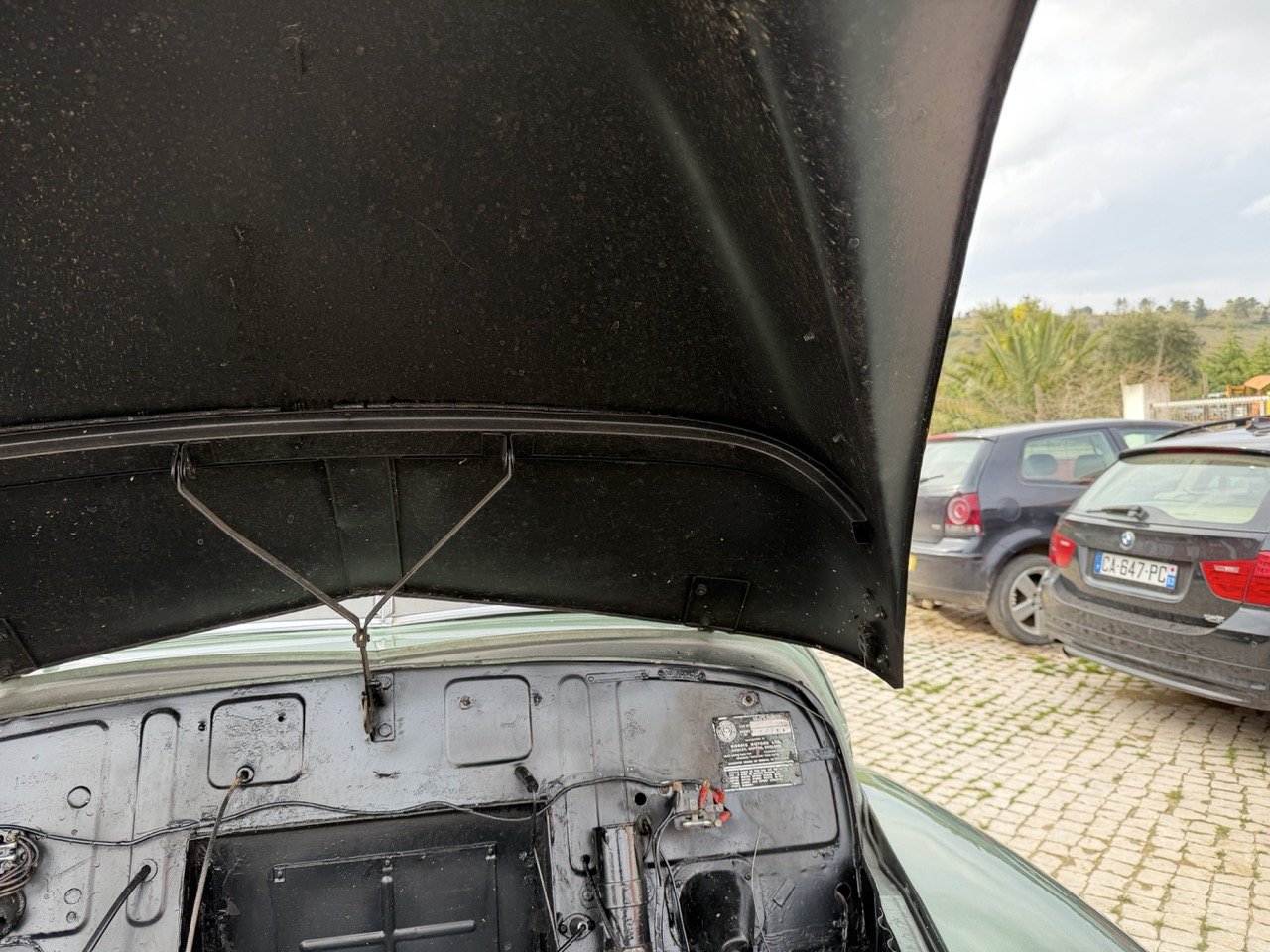 IMG_9837 – grande.jpeg