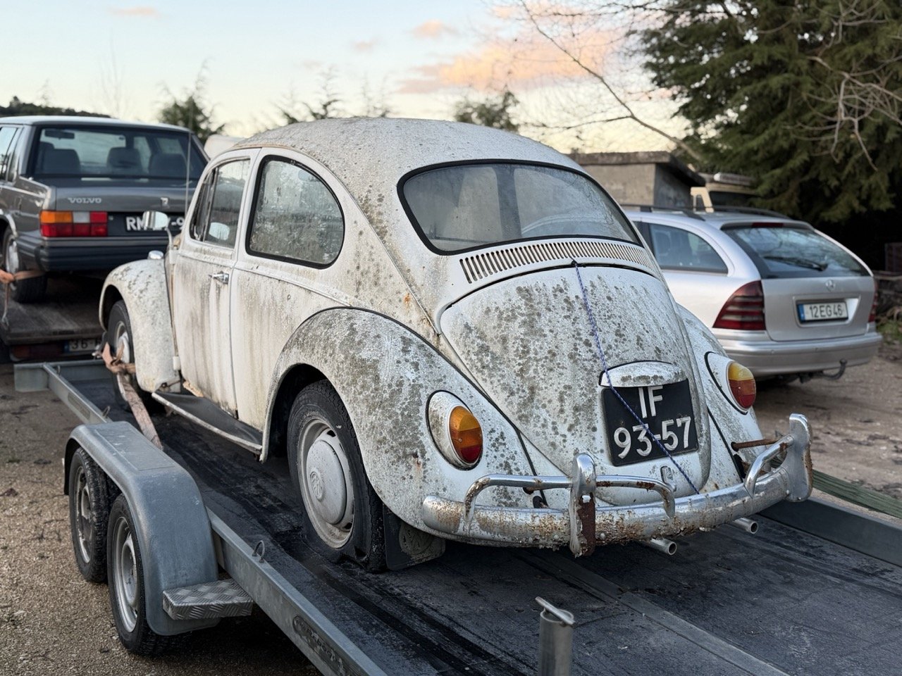 IMG_8592 – grande.jpeg