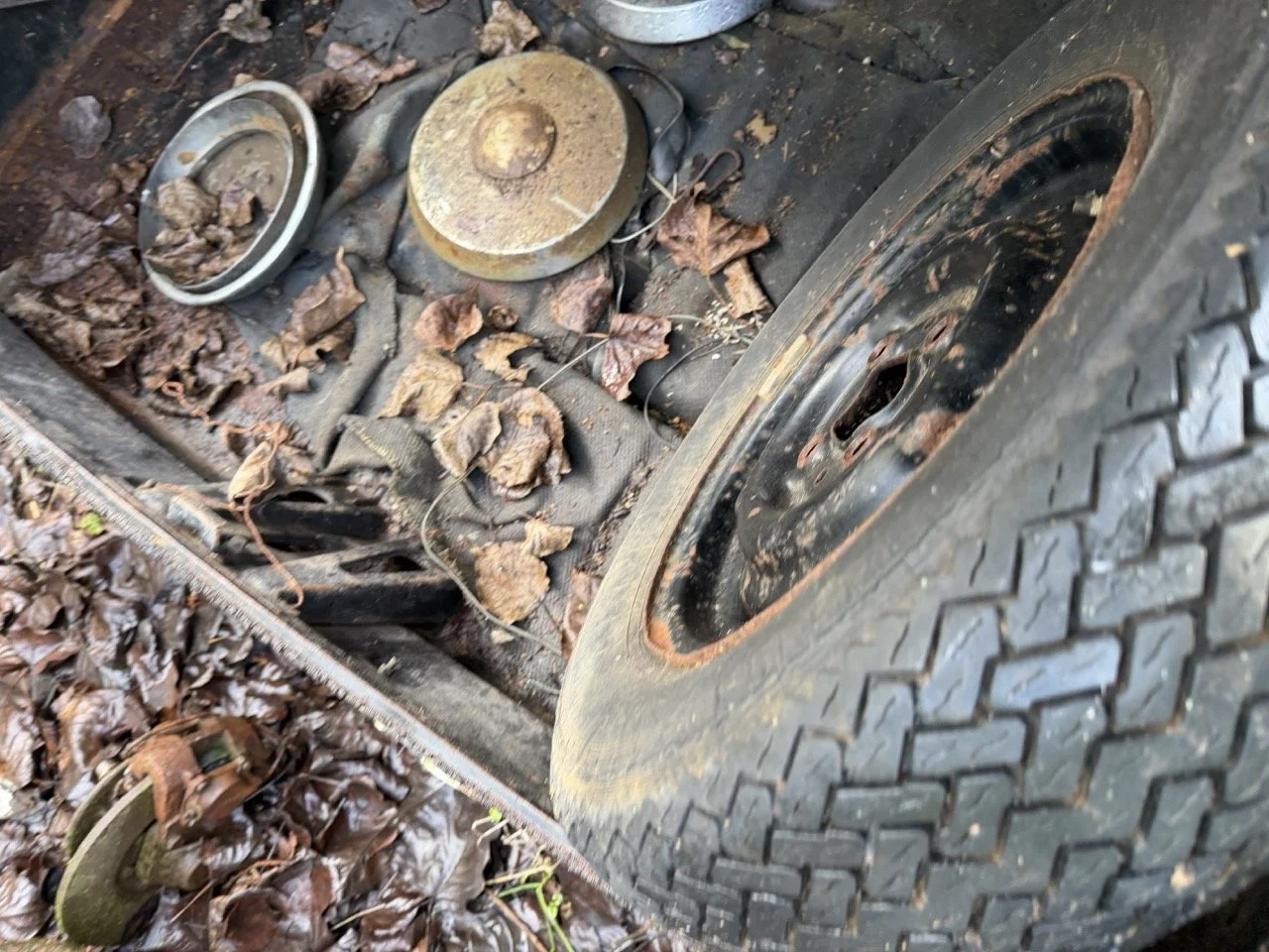 IMG_5054 – grande.jpeg