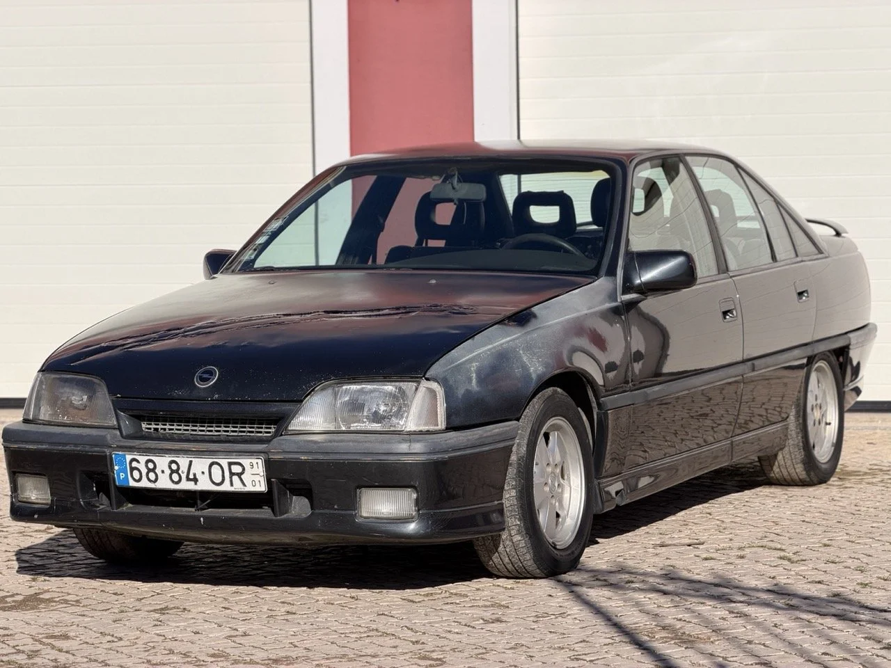 IMG_2693 – grande.jpeg