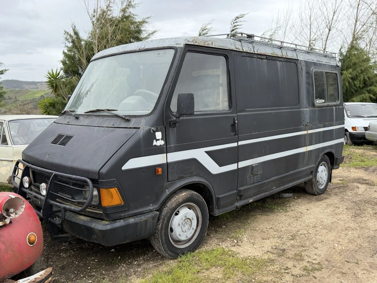 IMG_1297 – grande.jpeg