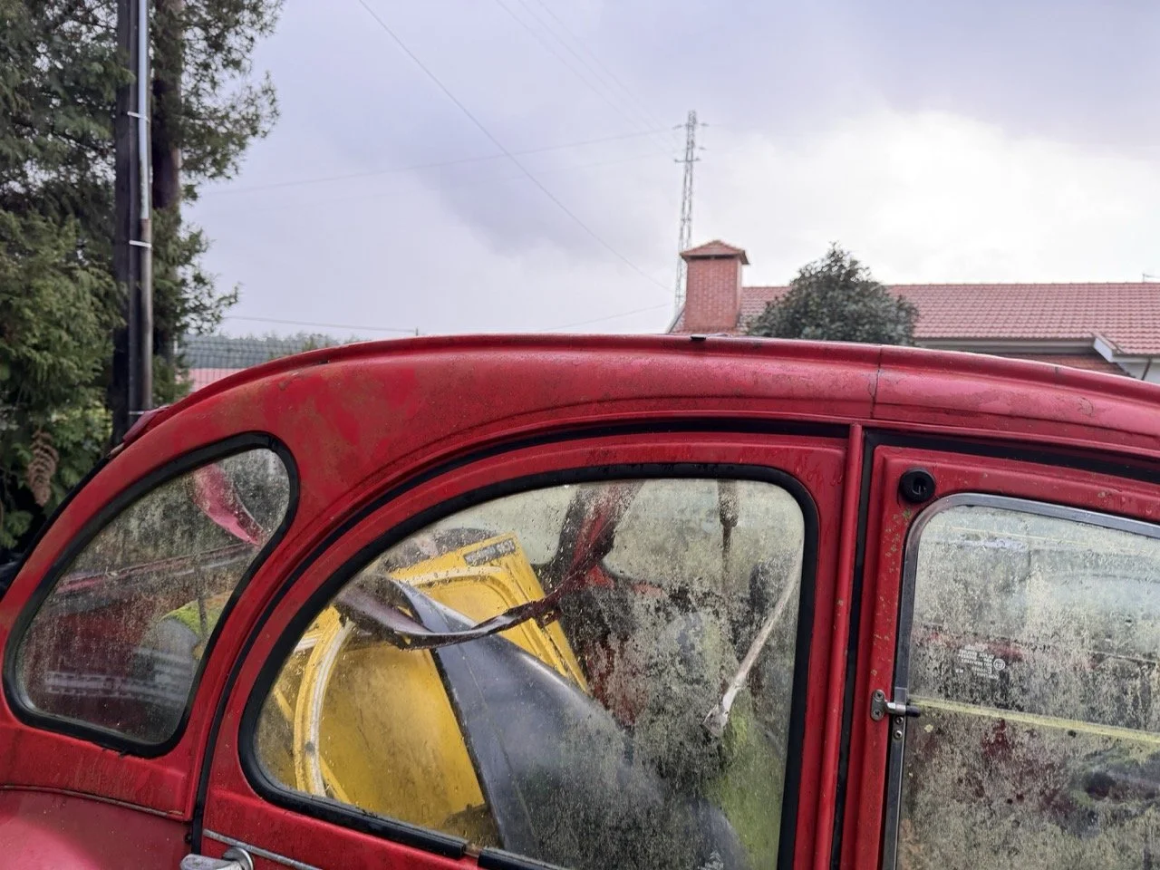 IMG_5502 – grande.jpeg