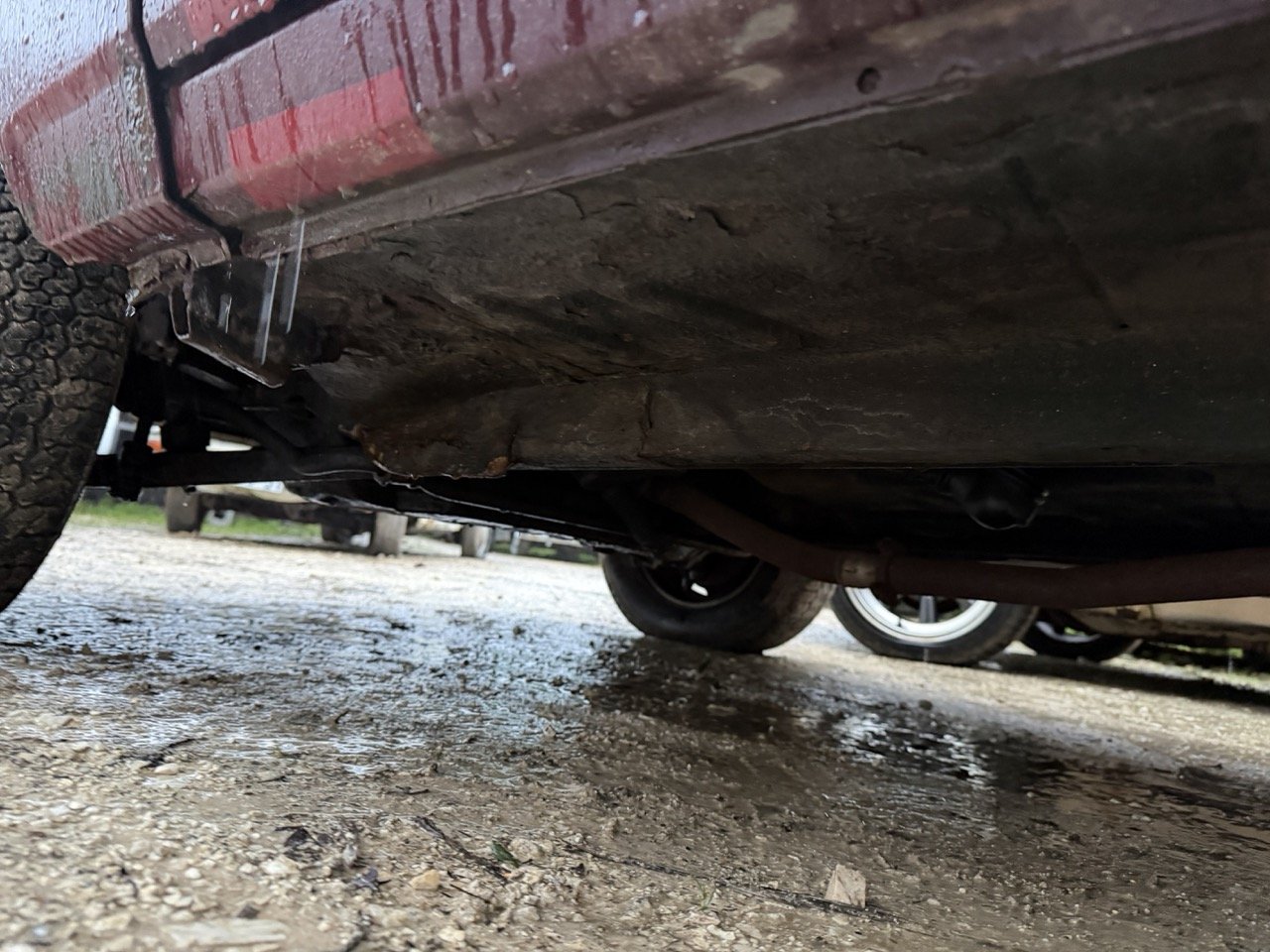 IMG_0290 – grande.jpeg