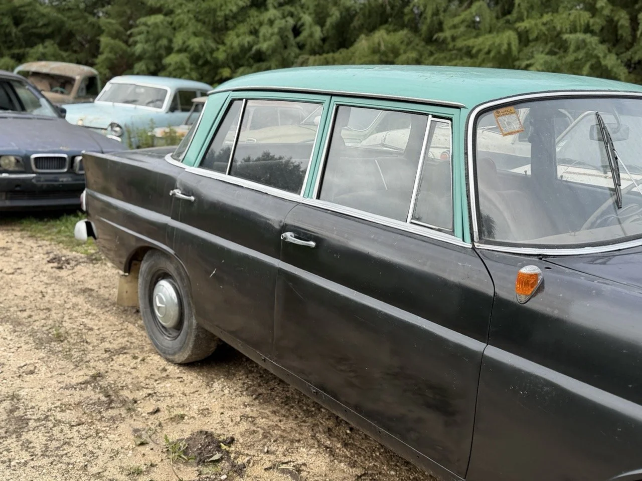 IMG_5020 – grande.jpeg