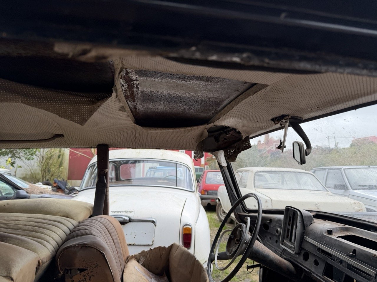 IMG_1925 – grande.jpeg