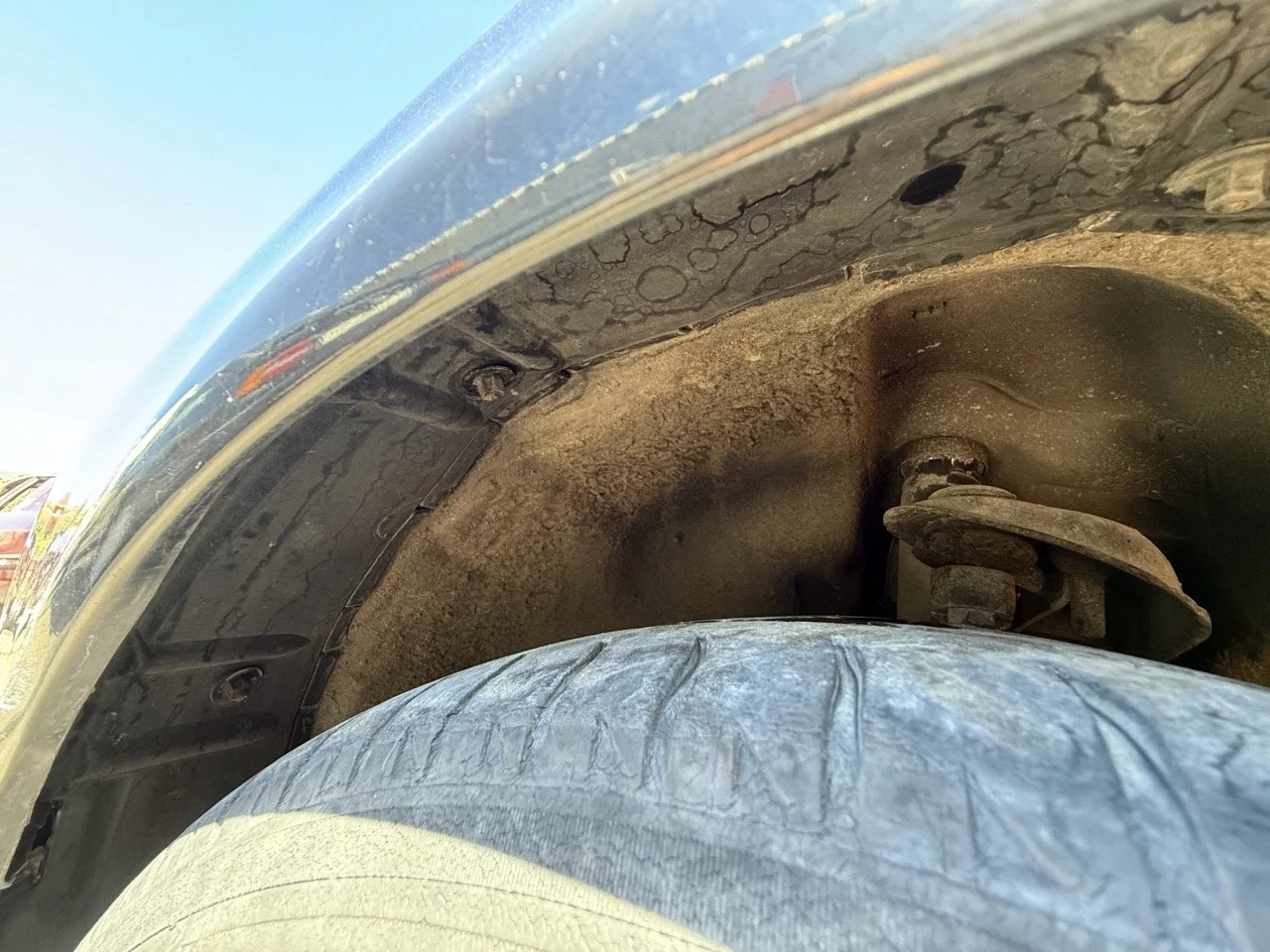 IMG_1812 – grande.jpeg