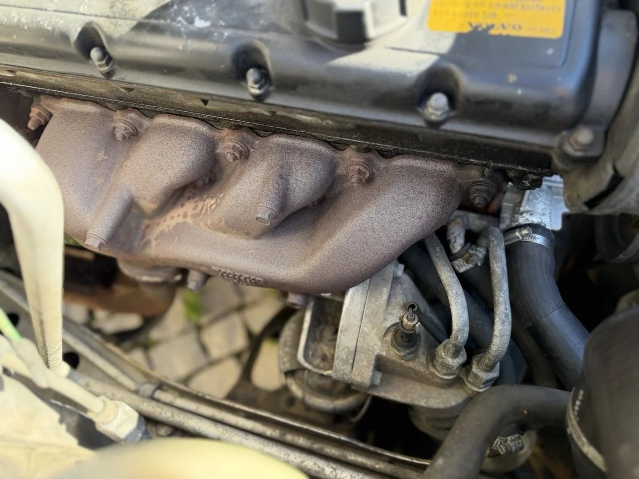 IMG_1977 – grande.jpeg