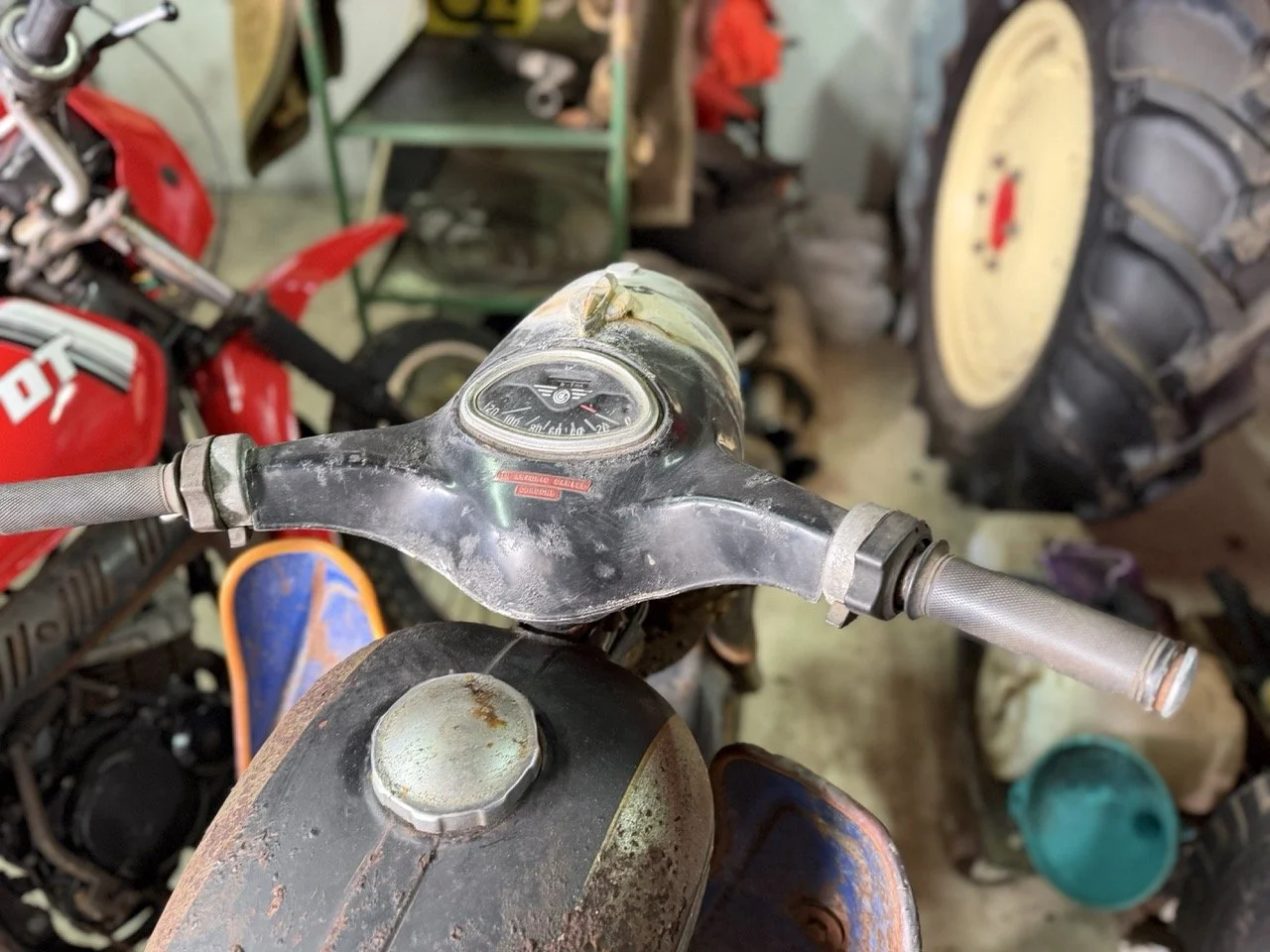 IMG_2170 – grande.jpeg