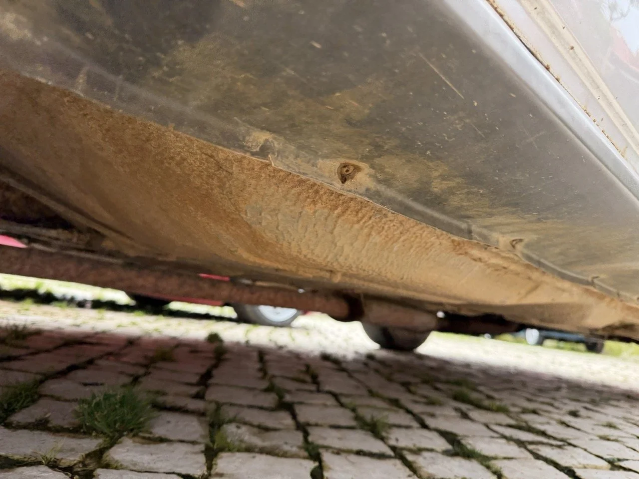 IMG_0558 – grande.jpeg