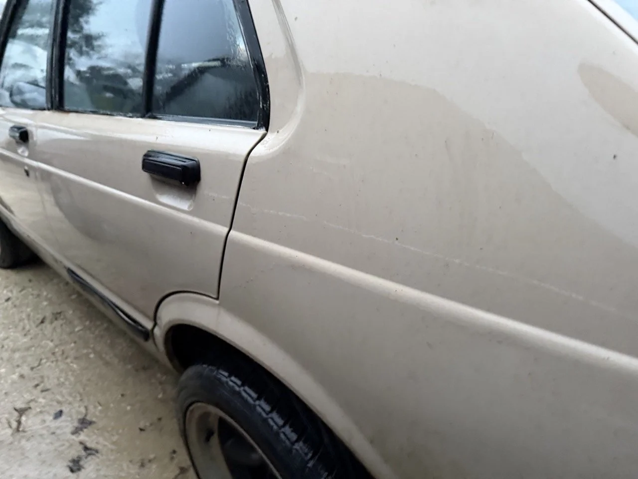 IMG_0200 – grande.jpeg