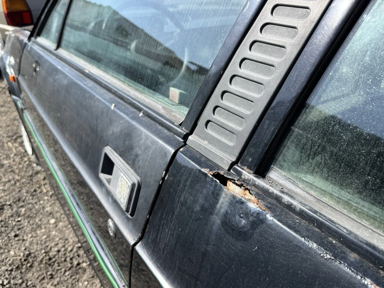 IMG_2929 – grande.jpeg