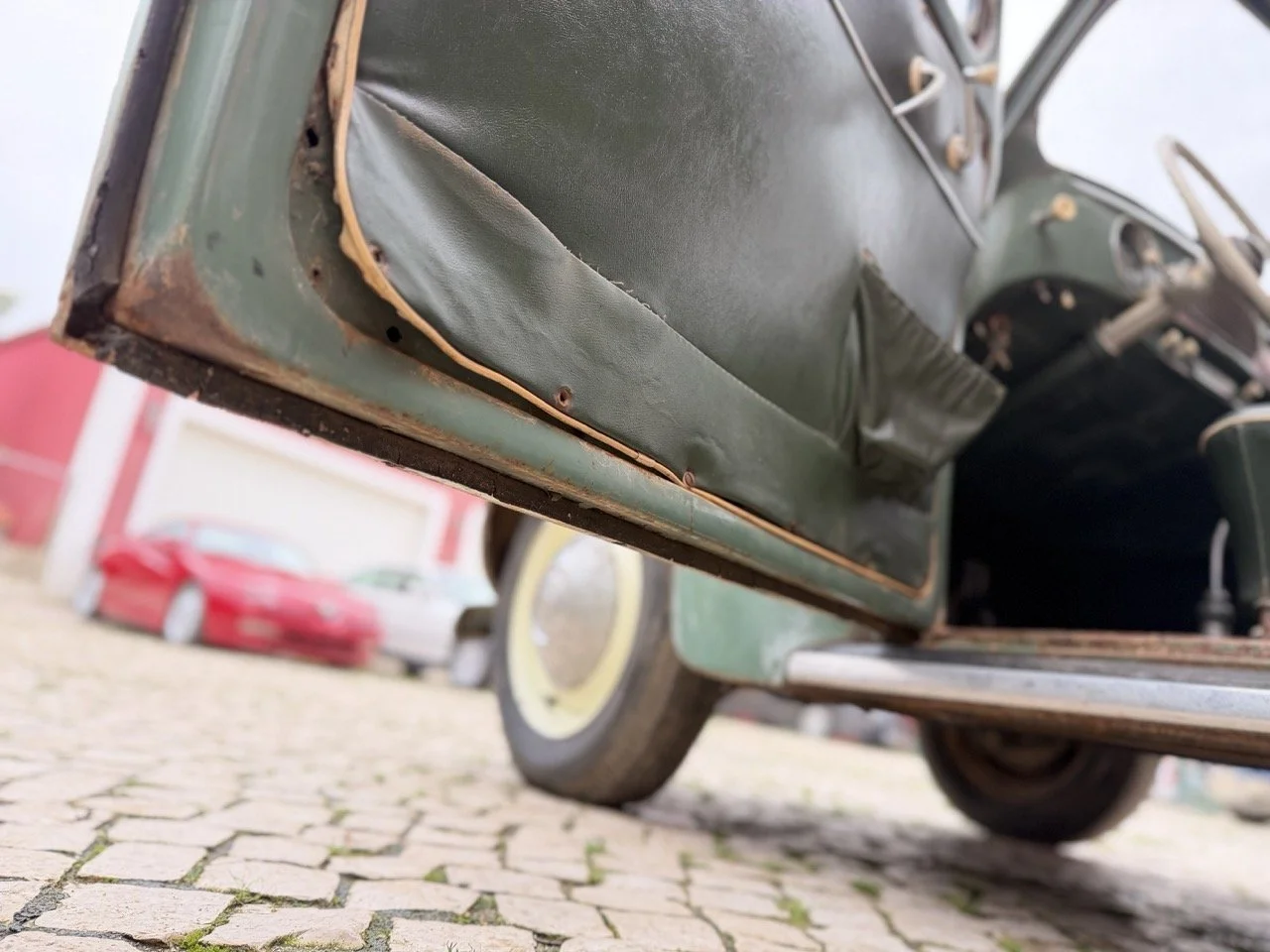 IMG_1136 – grande.jpeg