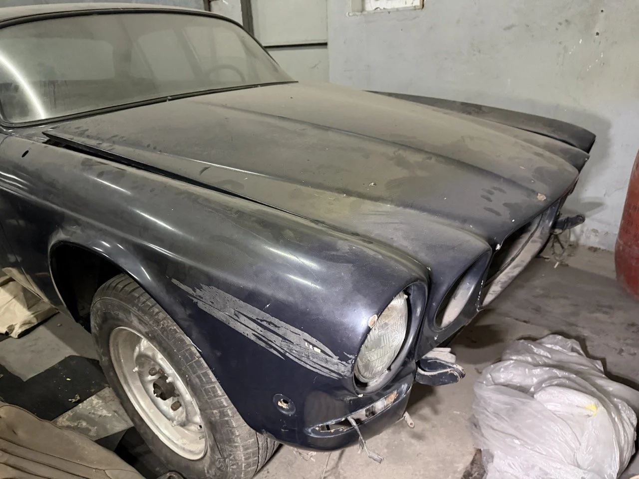 IMG_4253 – grande.jpeg