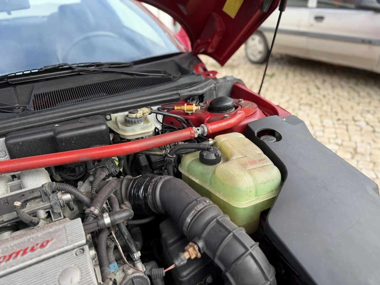 IMG_2275 – grande.jpeg