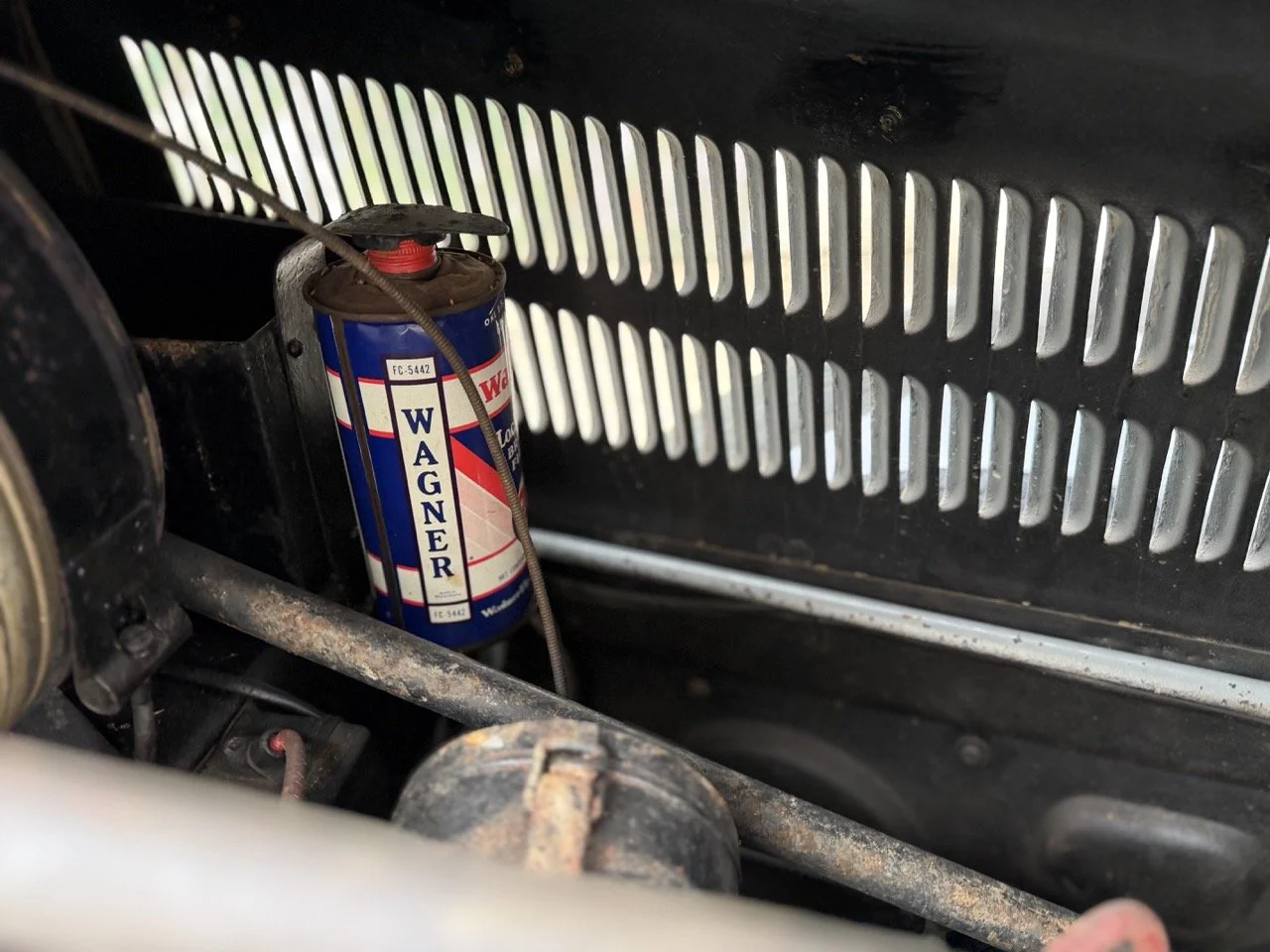 IMG_1444 – grande.jpeg