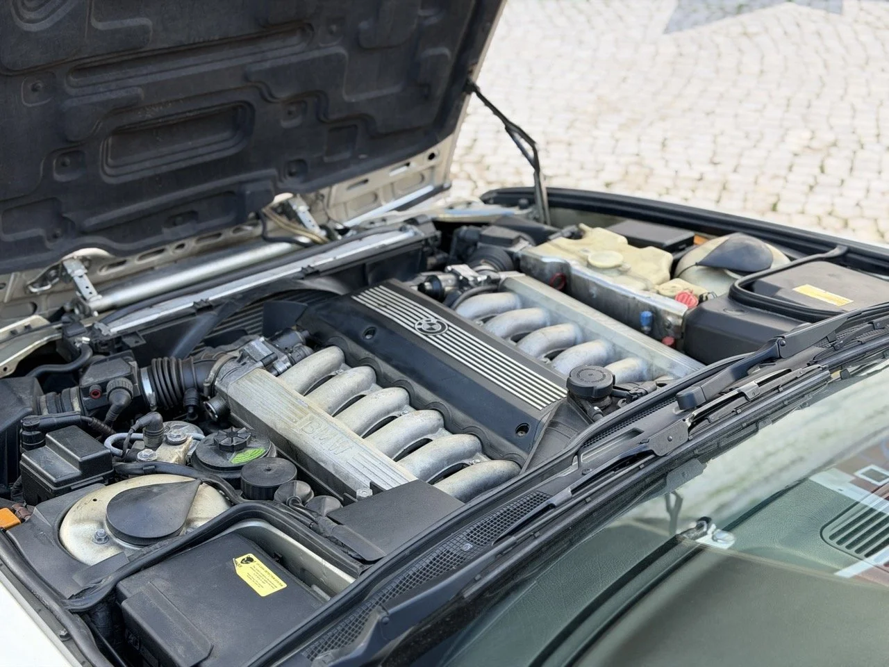 IMG_6970 2 – grande.jpeg