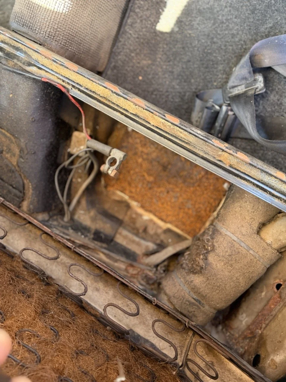 IMG_7537 – grande.jpeg