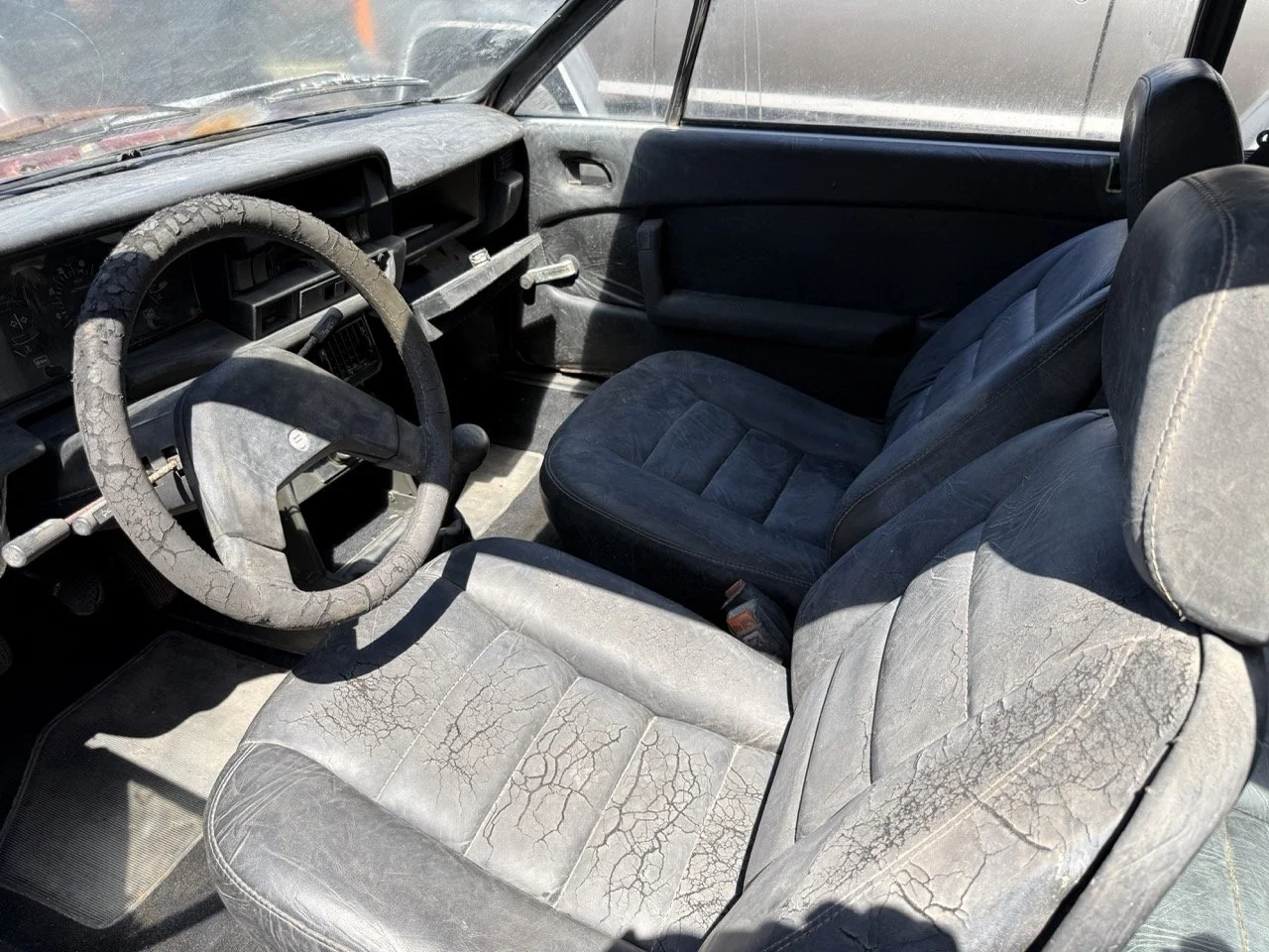 IMG_0910 – grande.jpeg