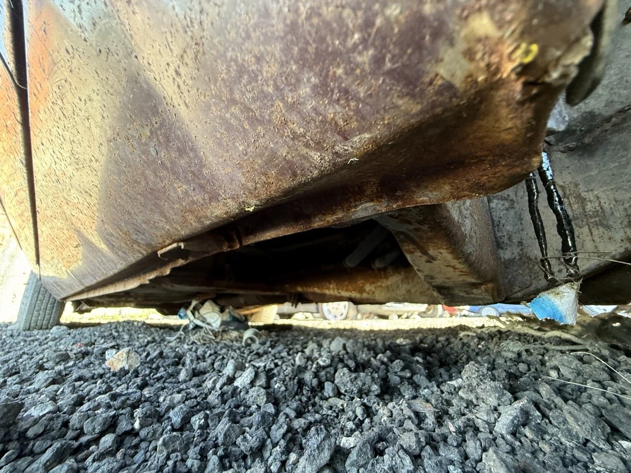 IMG_3061 – grande.jpeg