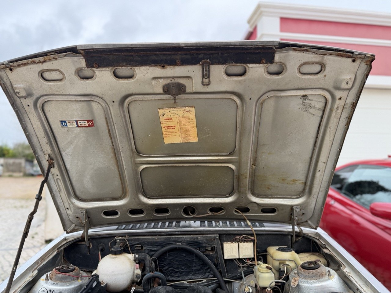 IMG_0526 – grande.jpeg