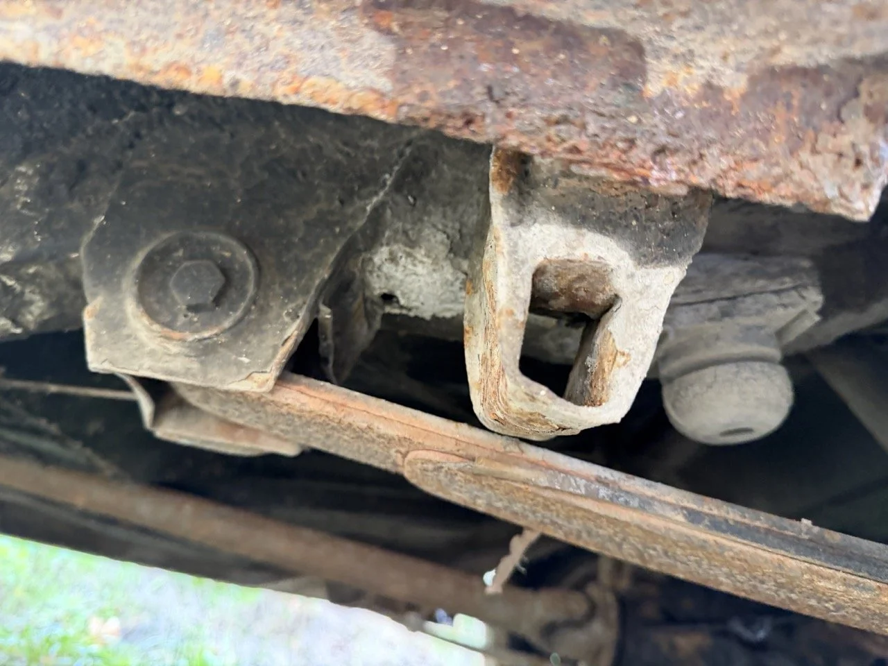 IMG_4901 – grande.jpeg