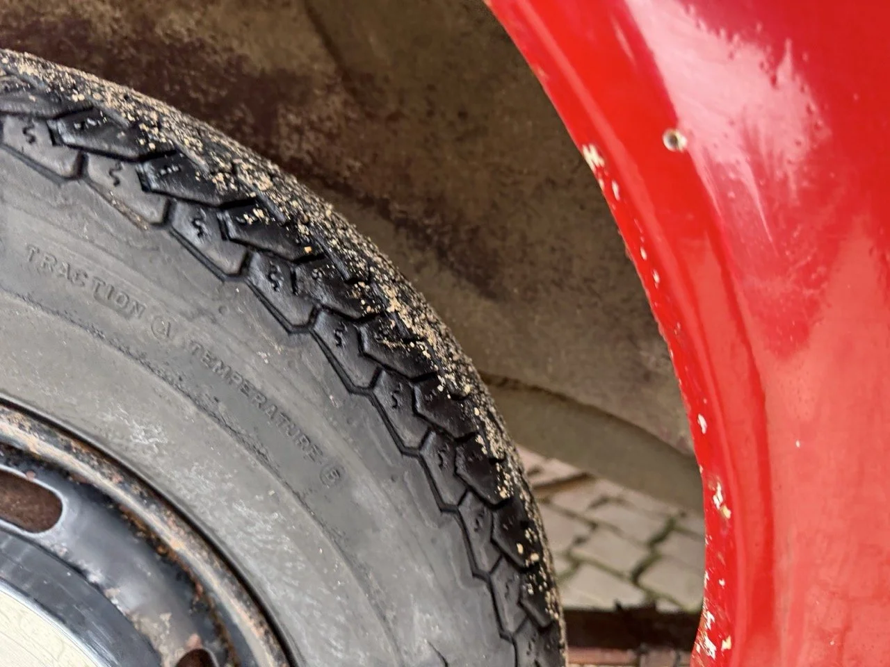 IMG_9671 – grande.jpeg