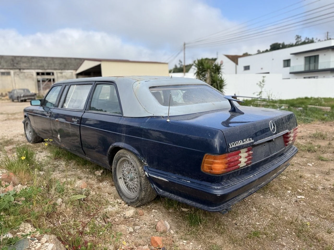 IMG_3358 – grande.jpeg