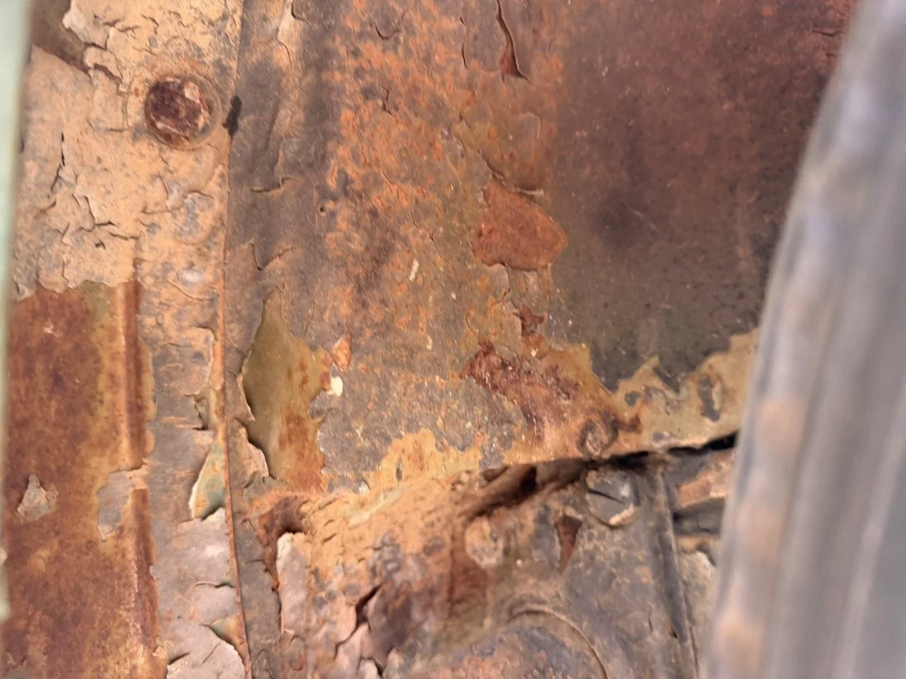 IMG_1239 – grande.jpeg