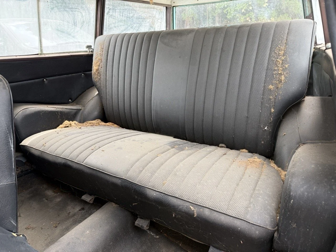 IMG_1367 – grande.jpeg