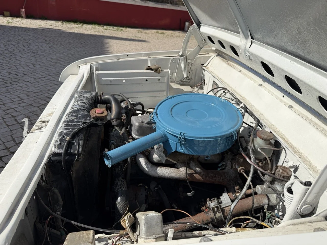 IMG_8619 2 – grande.jpeg