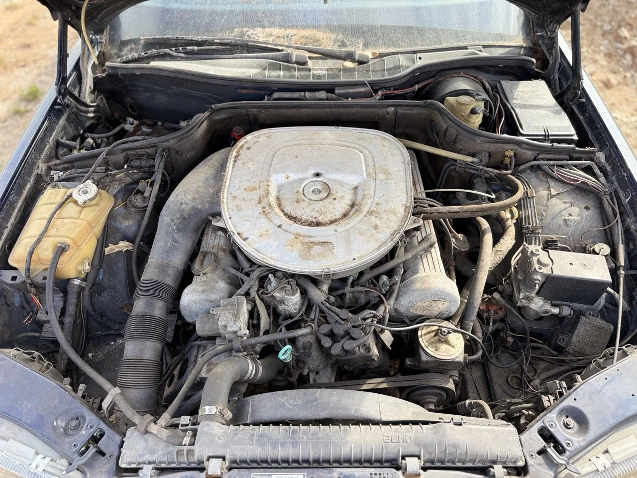 IMG_3384 – grande.jpeg