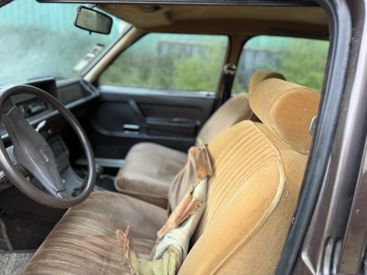 IMG_5247 2 – grande.jpeg