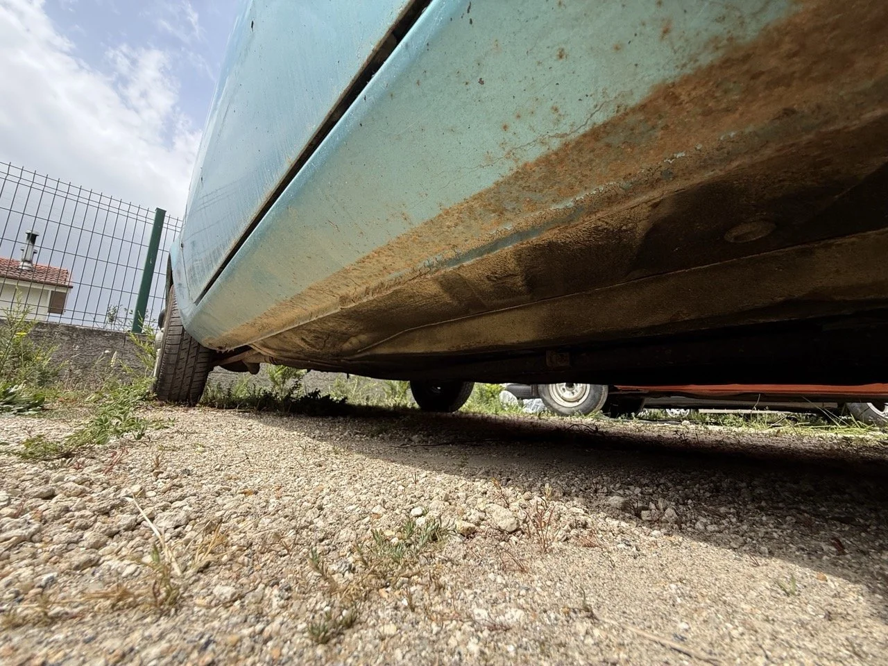 IMG_1573 – grande.jpeg