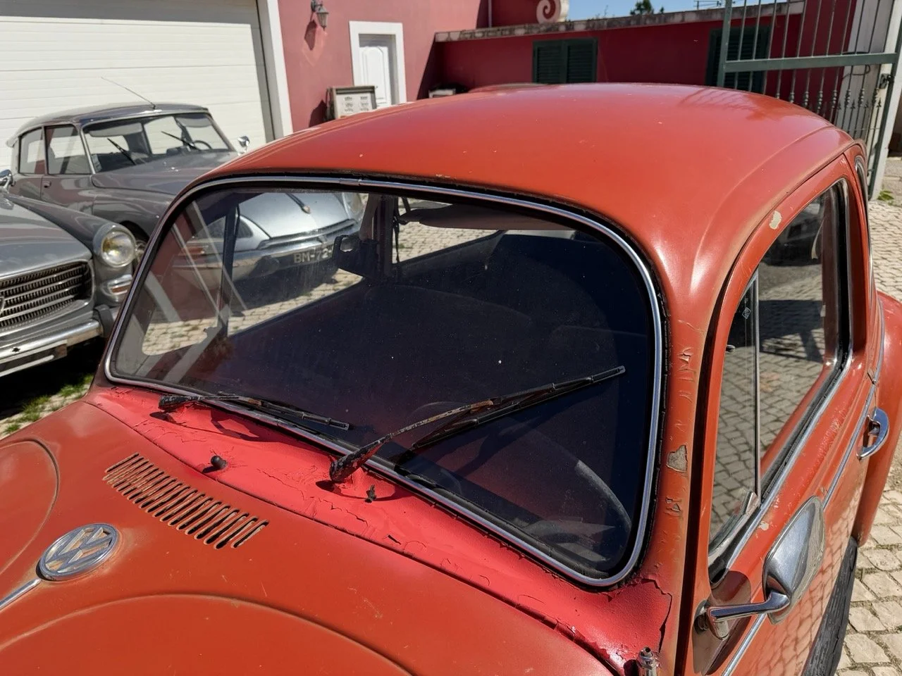 IMG_7572 – grande.jpeg