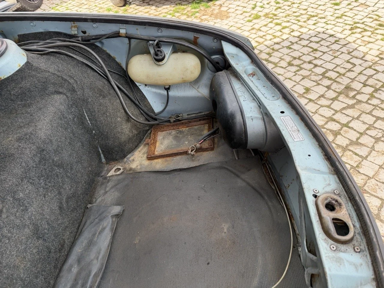 IMG_4824 – grande.jpeg