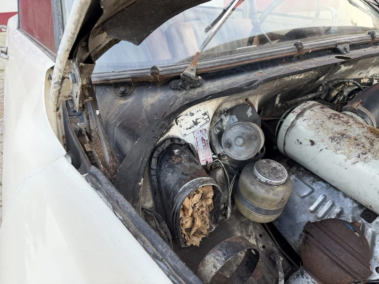 IMG_5961 2 – grande.jpeg