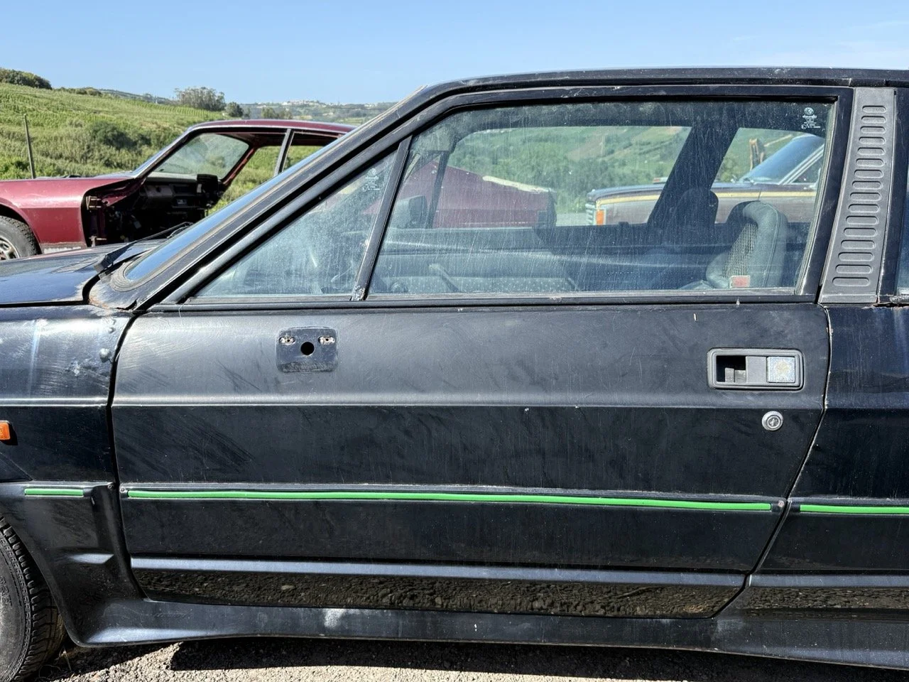 IMG_2915 – grande.jpeg