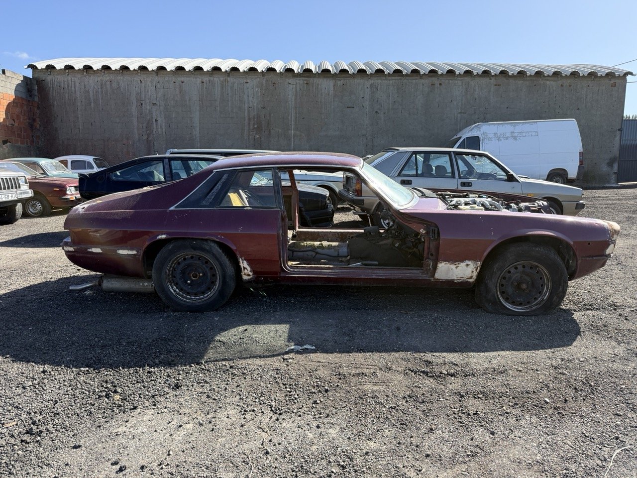 IMG_2971 – grande.jpeg