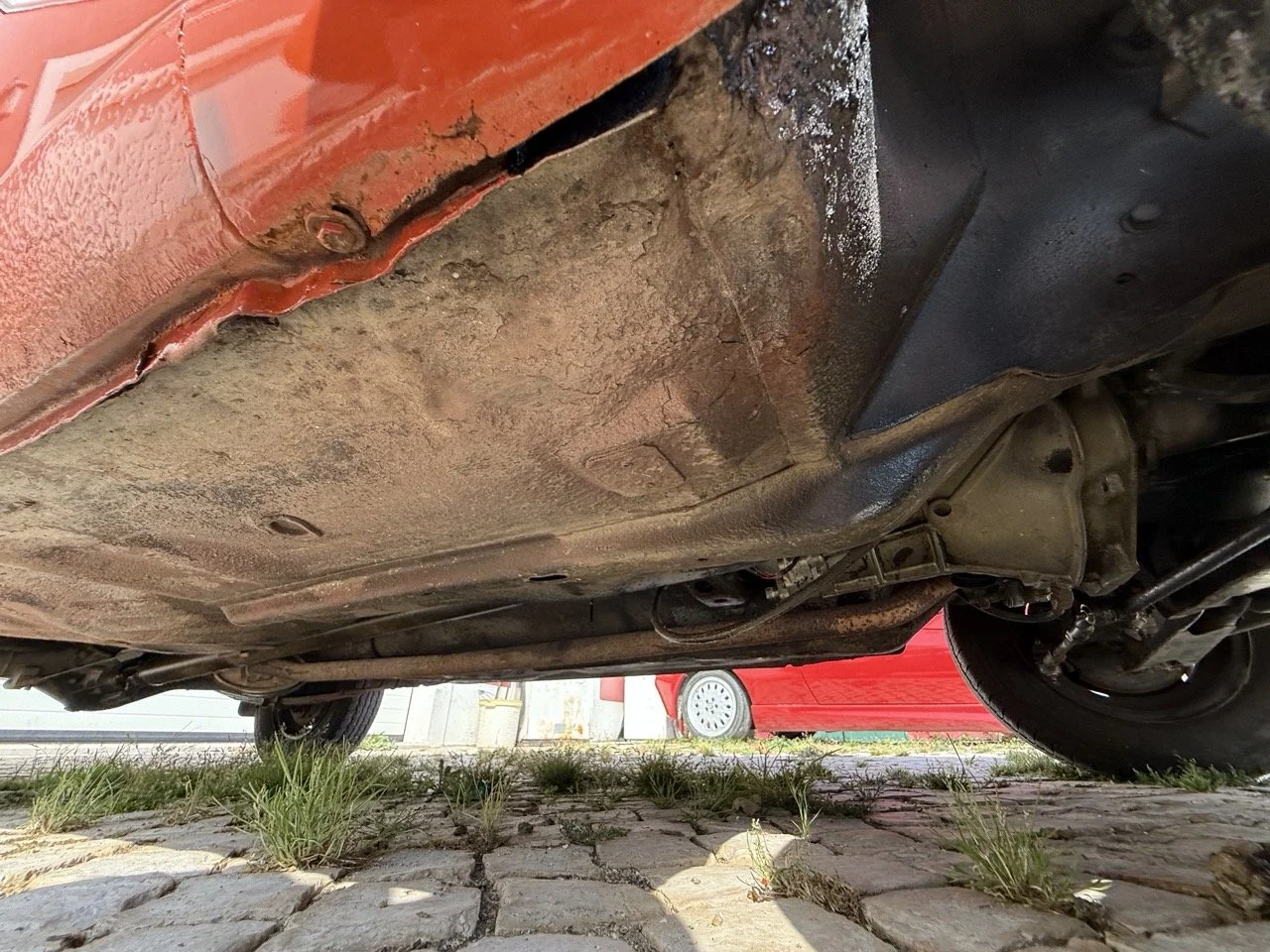 IMG_3670 – grande.jpeg