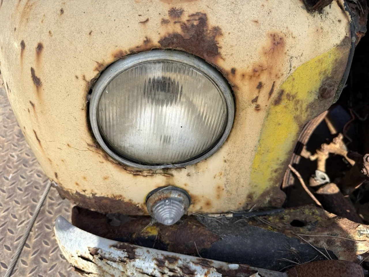 IMG_3178 – grande.jpeg